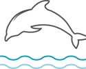 dolphin dolphin